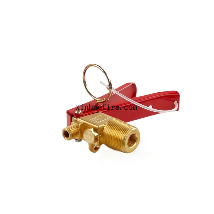 6 kg Carbon Dioxide Extinguisher Vavle